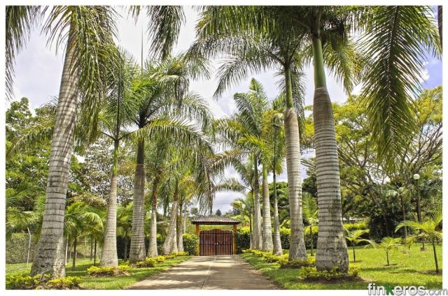 Sede Campestre - Finca en Dagua, Valle del Cauca
